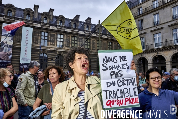 Manifestation contre le passe sanitaire à Paris