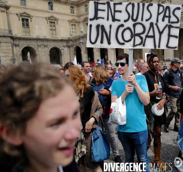 Manifestation contre le passe sanitaire à Paris