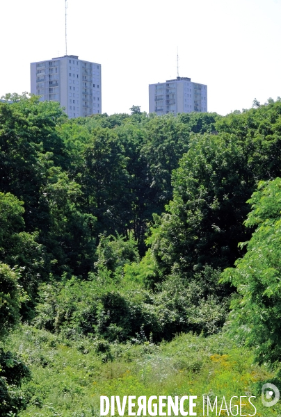 Promenade ecologique de la corniche des forts