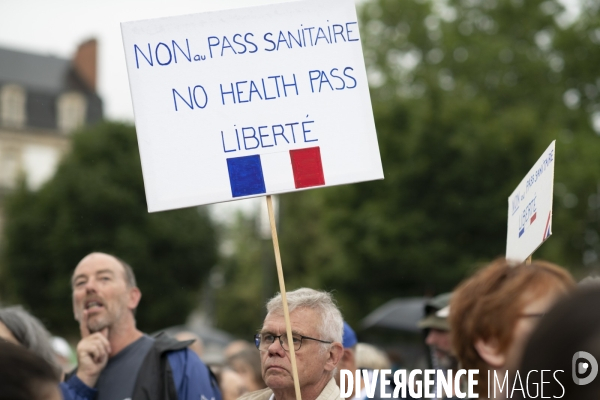 Manifestation anti-pass Dijon