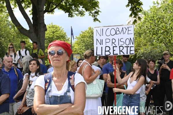 Manifestation contre le projet de passe sanitaire, place du Trocadéro, le 24 juillet à Paris. Demonstration against sanitary pass.