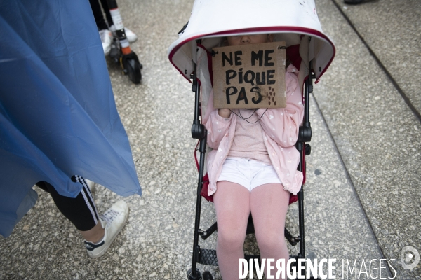 Manifestation anti-pass Dijon