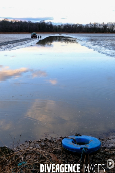 La pêche traditionnelle dans les étangs de la Dombes