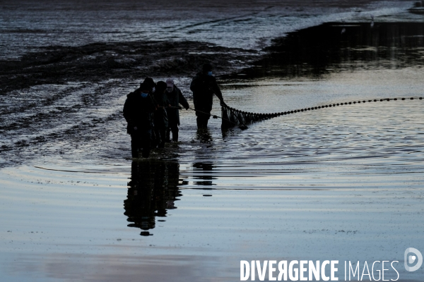 La pêche traditionnelle dans les étangs de la Dombes