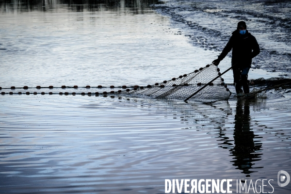 La pêche traditionnelle dans les étangs de la Dombes