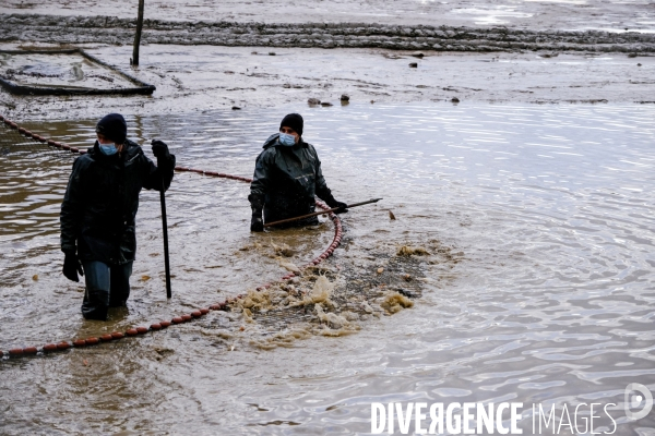 La pêche traditionnelle dans les étangs de la Dombes