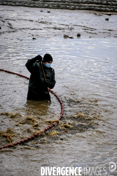 La pêche traditionnelle dans les étangs de la Dombes