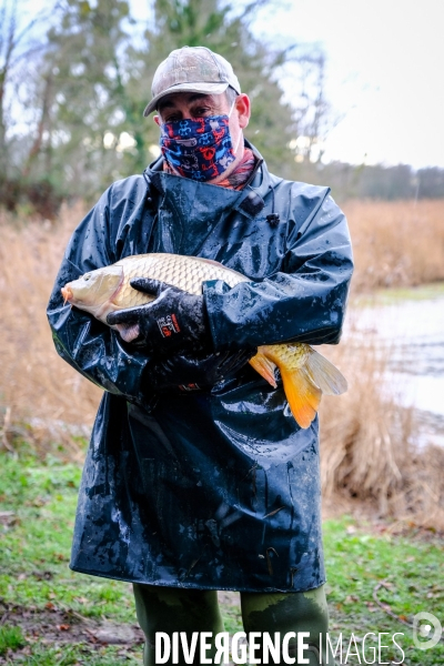 La pêche traditionnelle dans les étangs de la Dombes