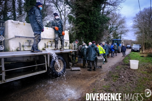 La pêche traditionnelle dans les étangs de la Dombes