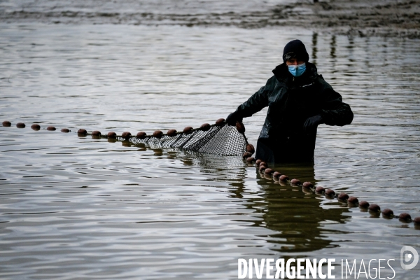 La pêche traditionnelle dans les étangs de la Dombes