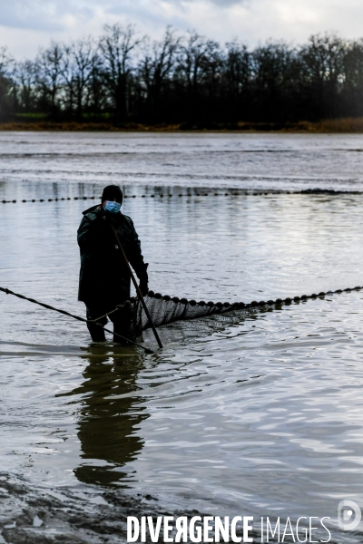 La pêche traditionnelle dans les étangs de la Dombes