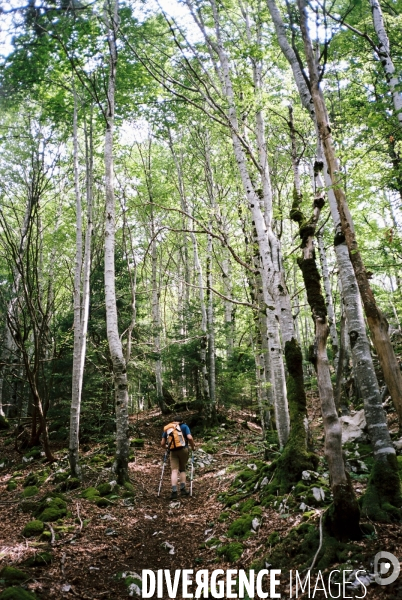 Randonnée Jura