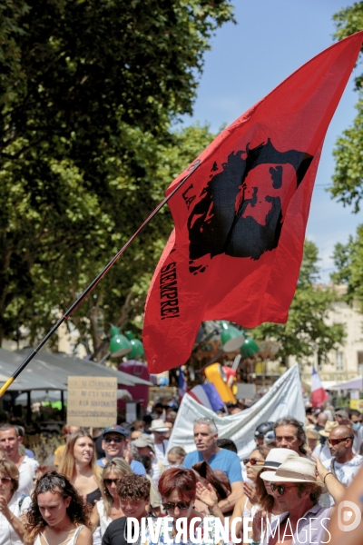 Avignon 31 juillet 2021 manifestation contre le  Pass de la honte 