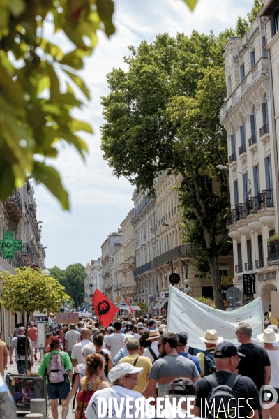 Avignon 31 juillet 2021 manifestation contre le  Pass de la honte 