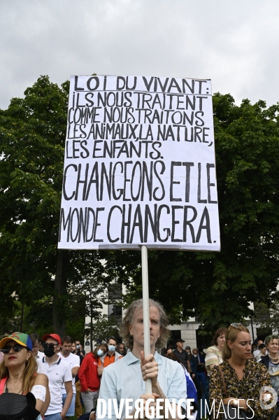 Florian Philippot organise une manifestation contre le projet de passe sanitaire et la vaccination obligatoire, le 31 juillet à Paris. Demonstration against sanitary pass.