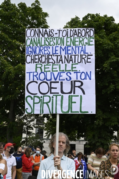 Florian Philippot organise une manifestation contre le projet de passe sanitaire et la vaccination obligatoire, le 31 juillet à Paris. Demonstration against sanitary pass.