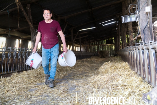 Elevage pastoral dans les marais de Guérande