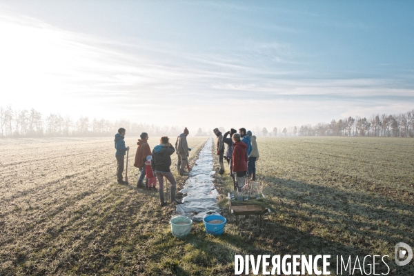 Plantation de haies en agroforesterie par un collectif citoyen en Indre-et-Loire