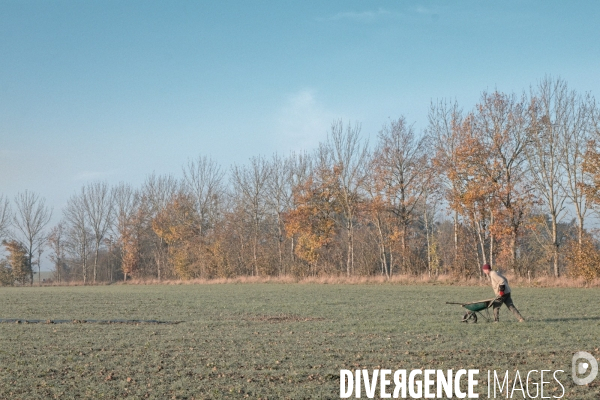 Plantation de haies en agroforesterie par un collectif citoyen en Indre-et-Loire