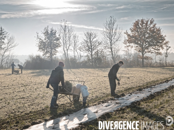 Plantation de haies en agroforesterie par un collectif citoyen en Indre-et-Loire