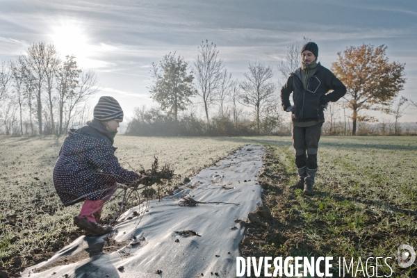 Plantation de haies en agroforesterie par un collectif citoyen en Indre-et-Loire