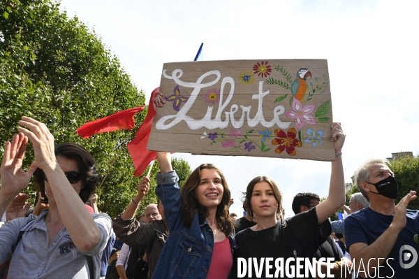 Florian Philippot organise une manifestation contre le projet de passe sanitaire et la vaccination obligatoire, le 31 juillet à Paris. Demonstration against sanitary pass.