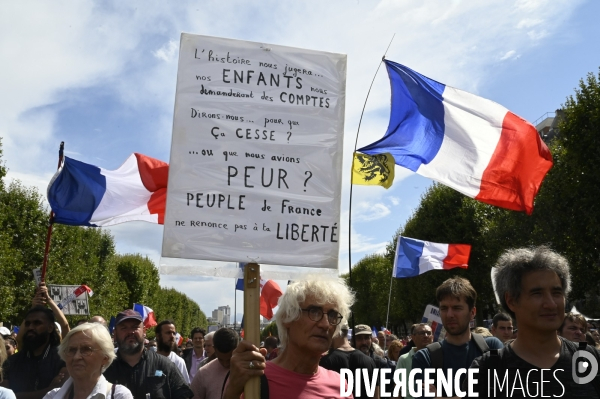 Florian Philippot organise une manifestation contre le projet de passe sanitaire et la vaccination obligatoire, le 31 juillet à Paris. Demonstration against sanitary pass.