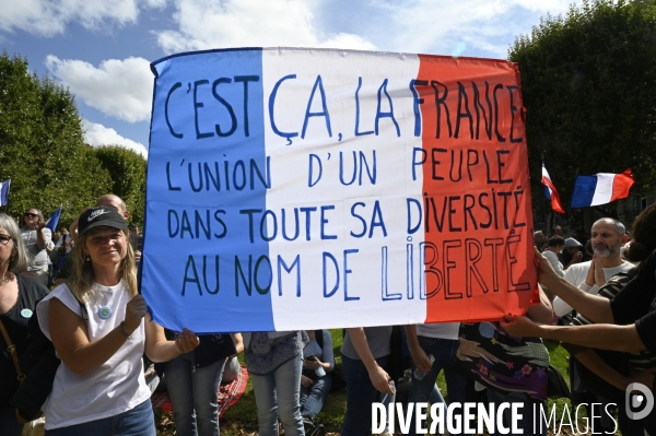 Florian Philippot organise une manifestation contre le projet de passe sanitaire et la vaccination obligatoire, le 31 juillet à Paris. Demonstration against sanitary pass.