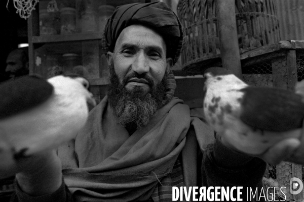 Daily Life in Afghanistan. La vie quotidienne en Afghanistan.