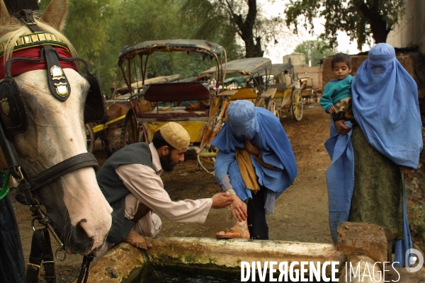 Women in Burqa Afghanistan. Les femmes en burqa en Afghanistan.