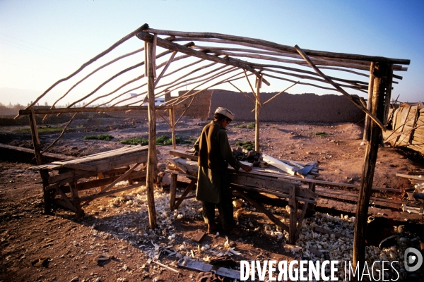 The Scars of the Afghanistan War. Les cicatrices de la guerre d Afghanistan.