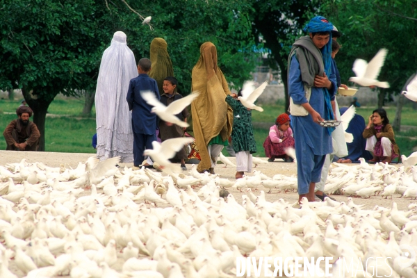 Daily Life in Afghanistan. La vie quotidienne en Afghanistan.