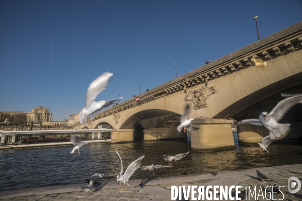 Pont d Iéna à Paris : chantier de remise en état
