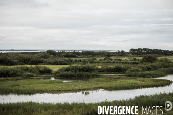 Déplacement de Delphine Batho en Baie de Somme