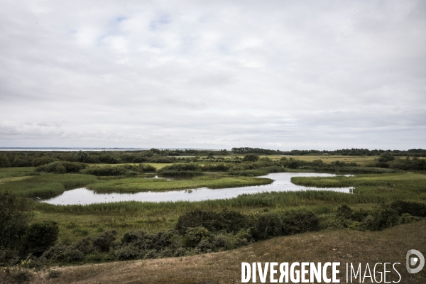 Déplacement de Delphine Batho en Baie de Somme