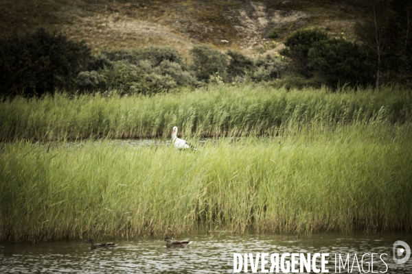 Déplacement de Delphine Batho en Baie de Somme