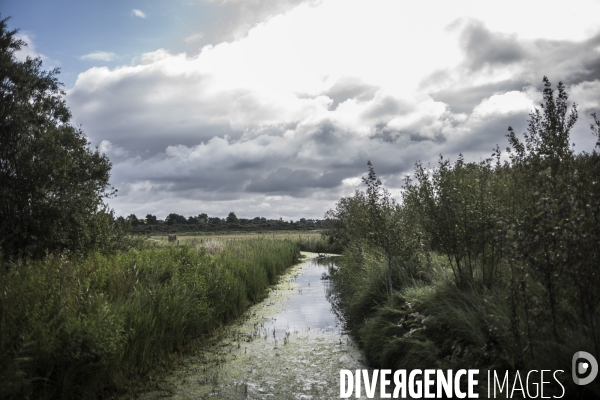 Déplacement de Delphine Batho en Baie de Somme