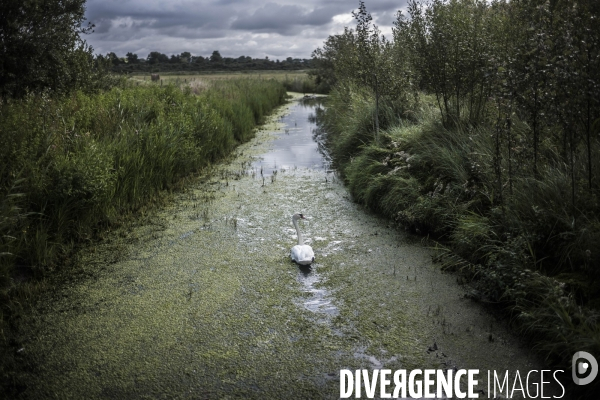 Déplacement de Delphine Batho en Baie de Somme