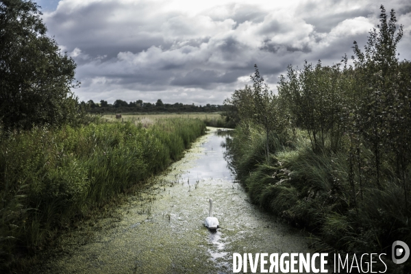 Déplacement de Delphine Batho en Baie de Somme