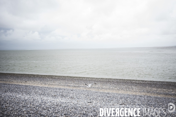 Déplacement de Delphine Batho en Baie de Somme