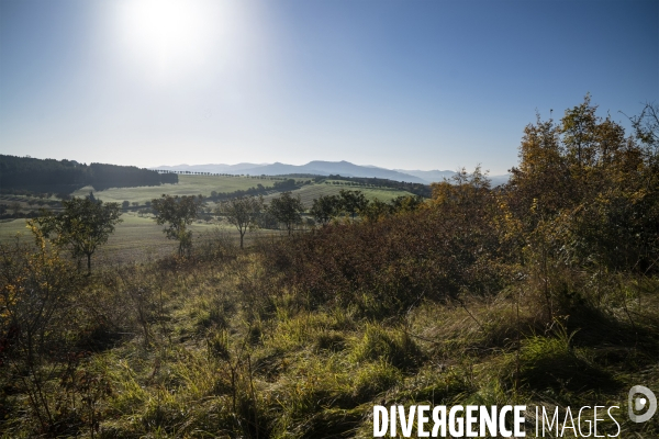 Eco-pâturage avec Laurent Maly, berger dans le Puy-de-Dôme.