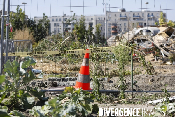 Destruction des jardins des vertus.