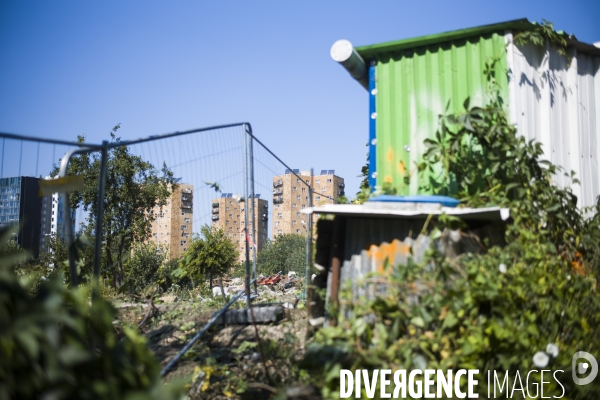 Destruction des jardins des vertus.