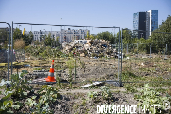 Destruction des jardins des vertus.