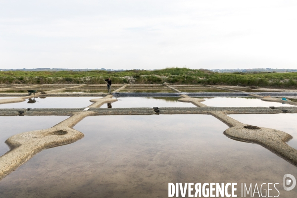 Paludiers dans les marais salants de Guérande