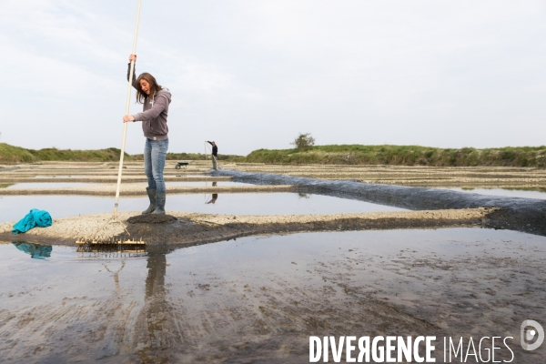 Paludiers dans les marais salants de Guérande