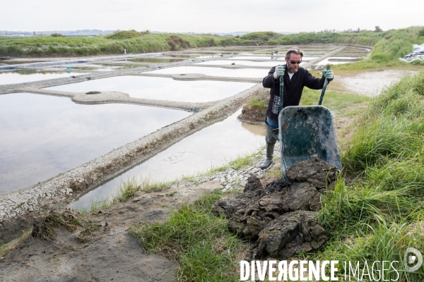 Paludiers dans les marais salants de Guérande