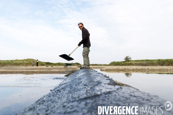 Paludiers dans les marais salants de Guérande