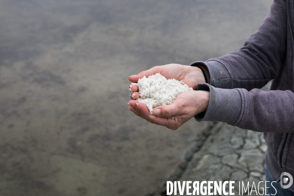 Paludiers dans les marais salants de Guérande