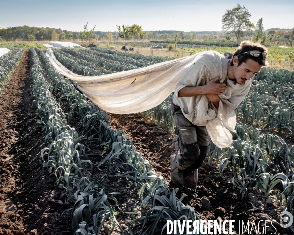 Pour un nouveau modèle agricole, la SCOP de la Coopérative Paysanne de Belêtre (37)